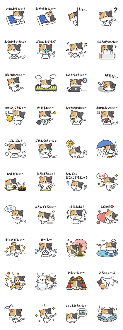 Koume of the cat. Koume of the cat.