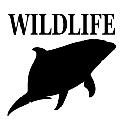 Wildlife Silhouette Vol 2 Line Stickers Line Store