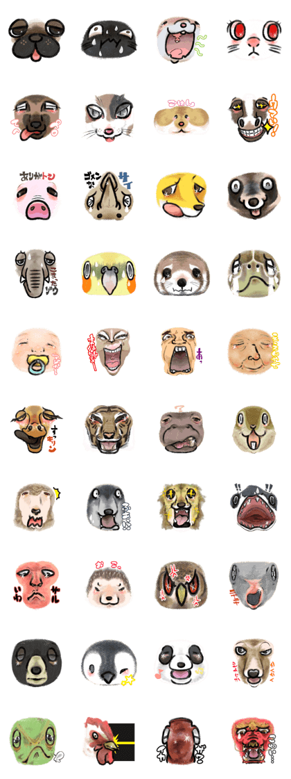 Face of cute creatures