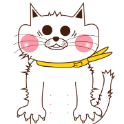 Nyamon of a cat Nyamon of a cat