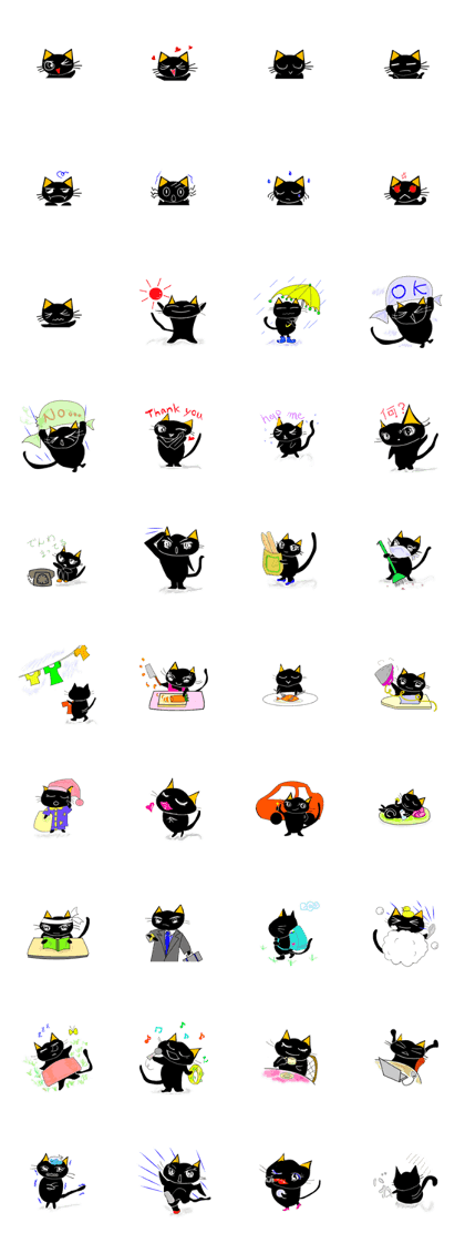 Every day of a black cat Every day of a black cat