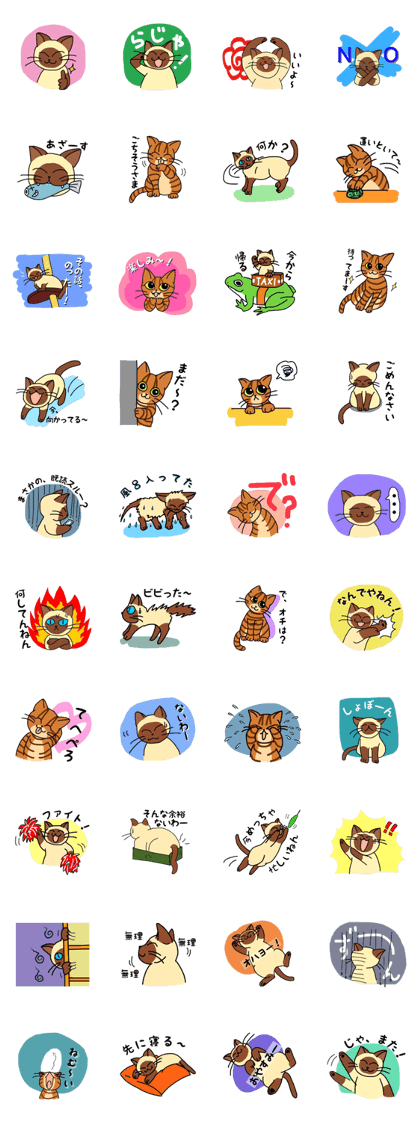 Life of Japanese stupid cat Life of Japanese stupid cat