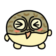 Peetarou of Namaqua Rain Frog