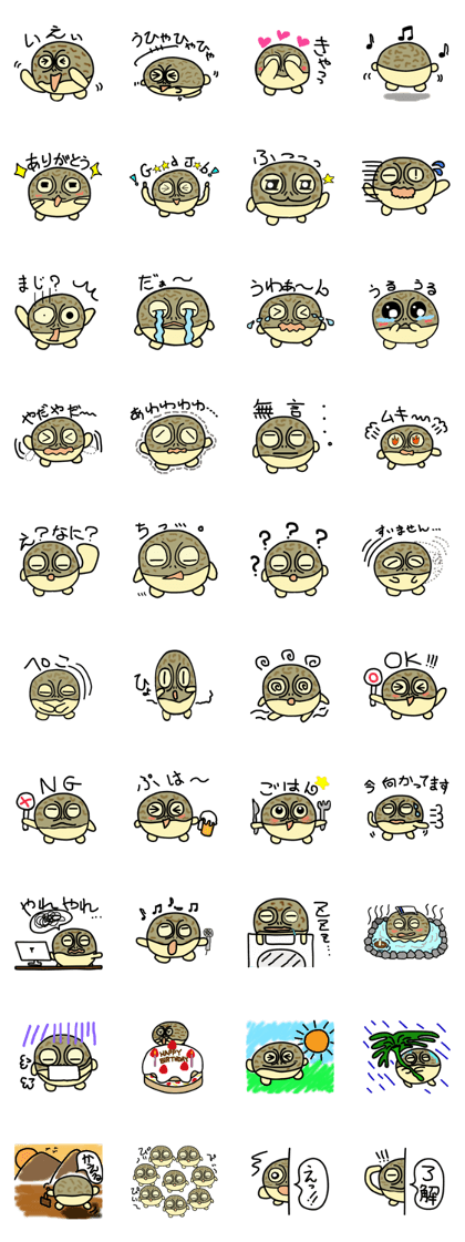 Peetarou of Namaqua Rain Frog