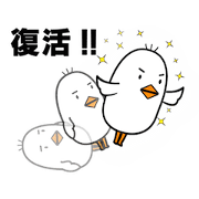 Life of white chick. Life of white chick.