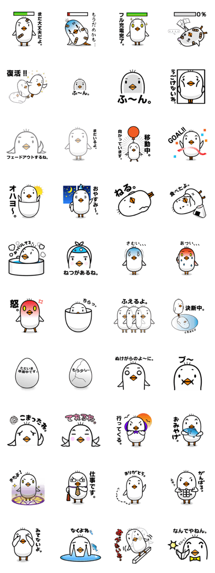 Life of white chick. Life of white chick.