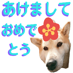 Greetings of Shiba dog and New Year