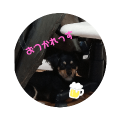 mina_20191231122850