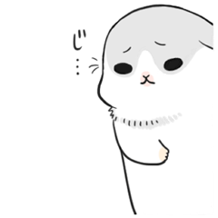 Machiko rabbit