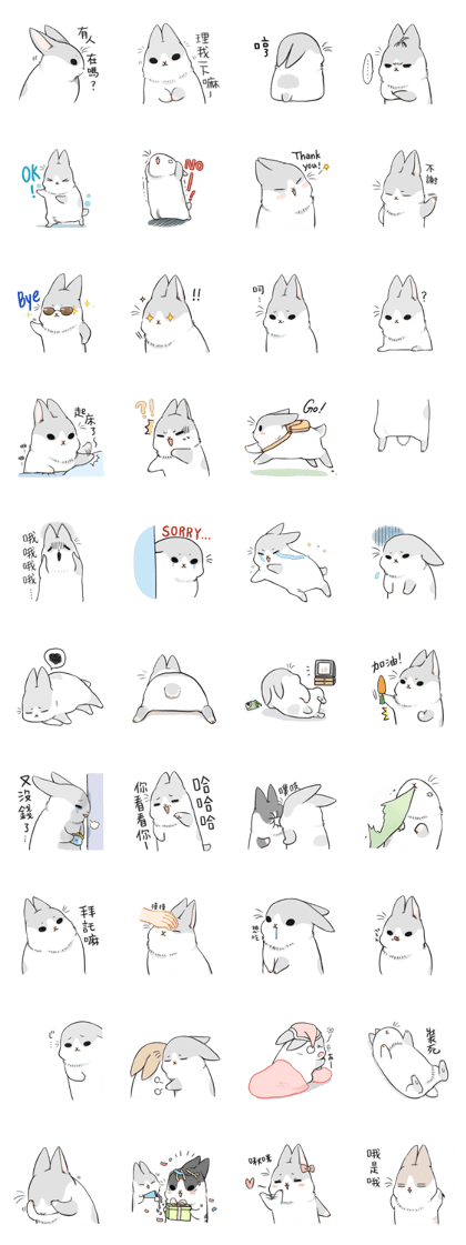 Machiko rabbit Machiko rabbit