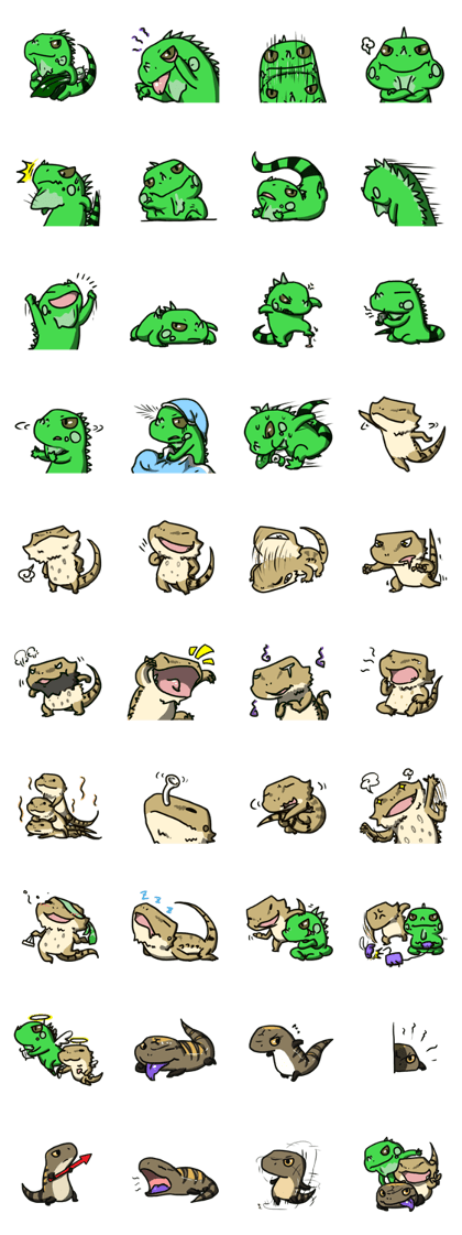 Bearded dragon and iguana Bearded dragon and iguana