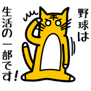 Baseball fan's desire to win! Baseball fan's desire to win!