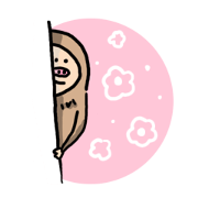 daily life of a sloth daily life of a sloth