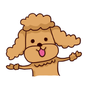 Pretty Toy Poodle Pretty Toy Poodle
