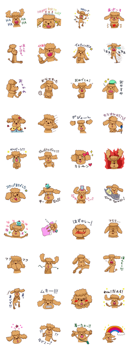 Pretty Toy Poodle Pretty Toy Poodle