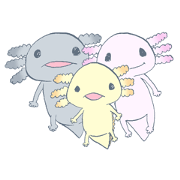 Ambystoma mexicanum family. Ambystoma mexicanum family.