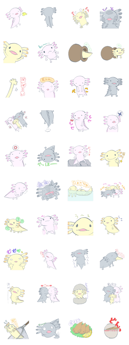 Ambystoma mexicanum family. Ambystoma mexicanum family.