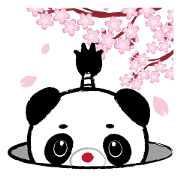 OEDO PANDA OEDO PANDA