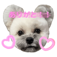 chI_Gonnta