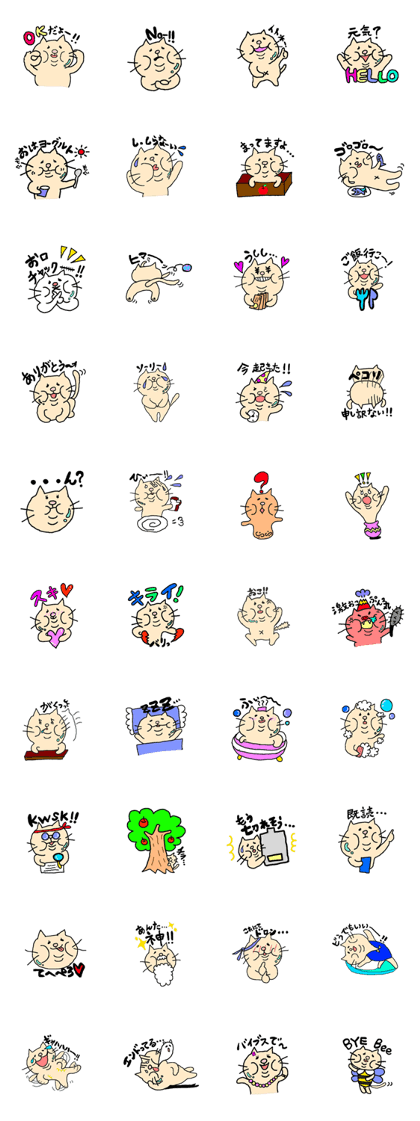 fat cat Every day fat cat Every day