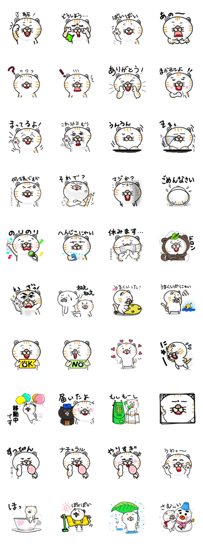 Every day of a Japanese cat