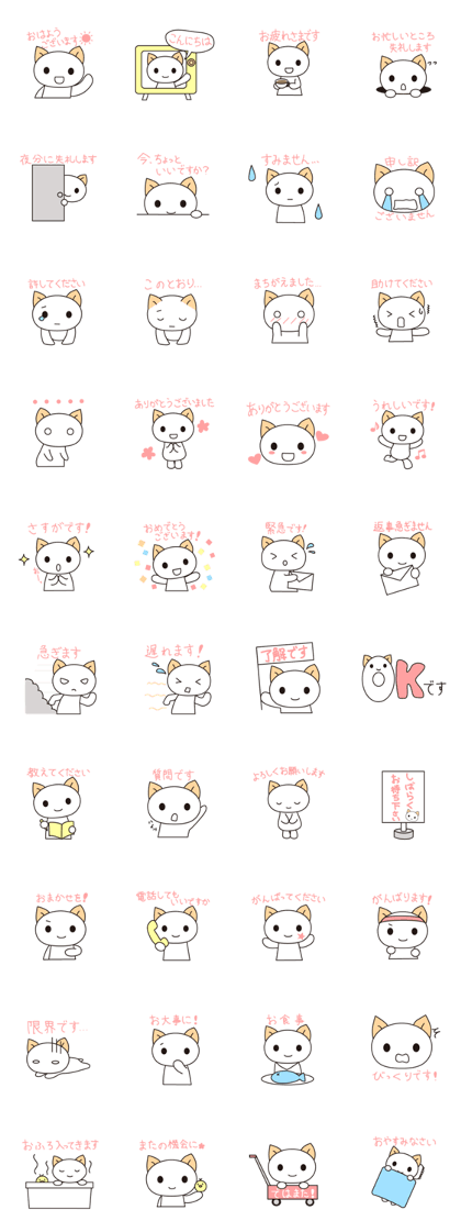 Lovely white cat(Japanese)