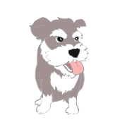 Mr.Schnauzer and his friends Mr.Schnauzer and his friends