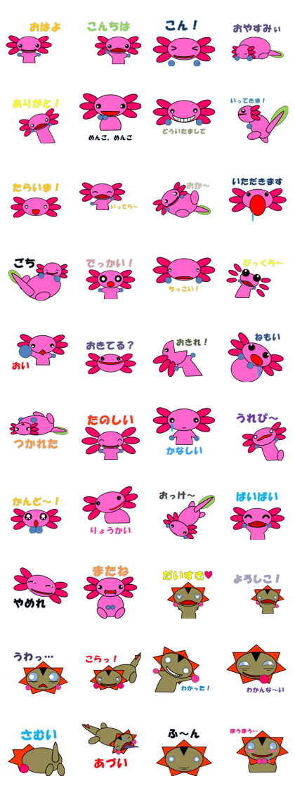 Mr. Ambystoma mexicanum Mr. Ambystoma mexicanum