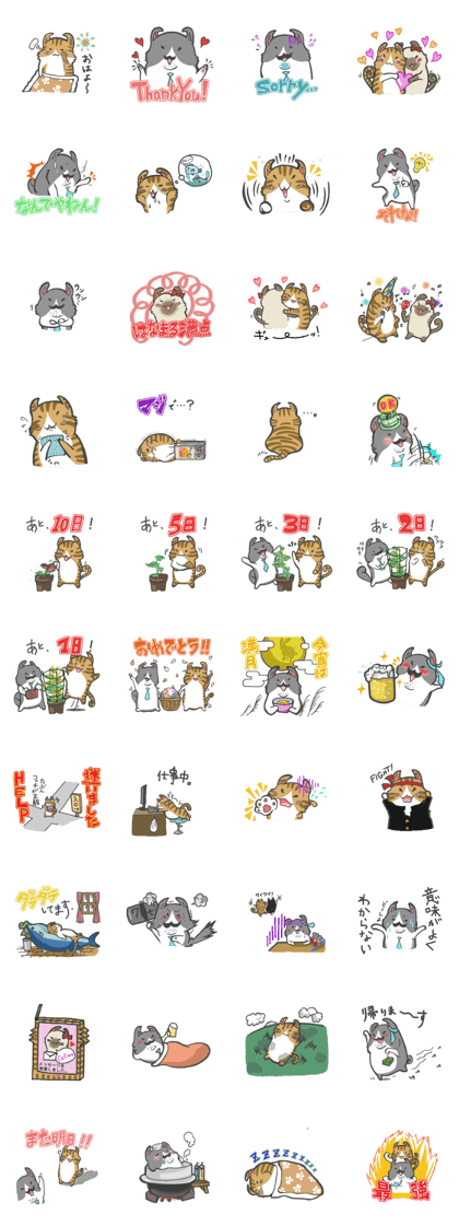 curl cat and a salaried worker