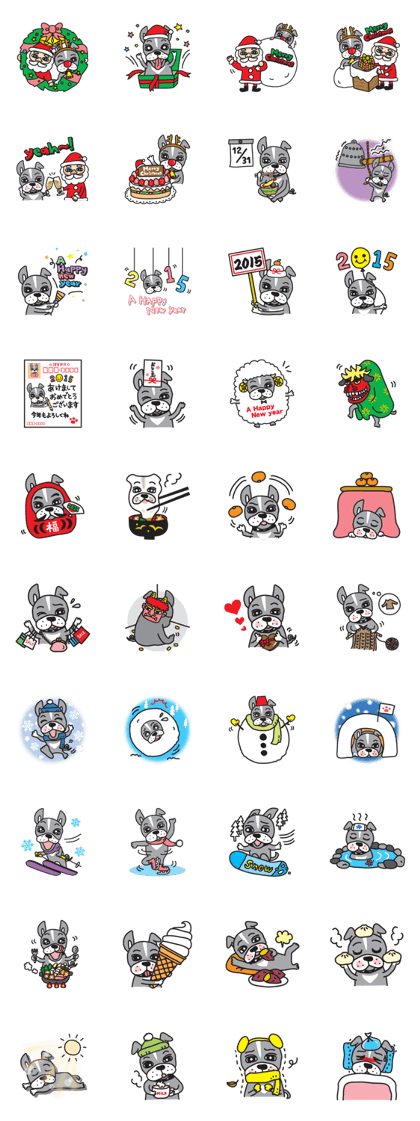 Winter events of dog Baron of my home