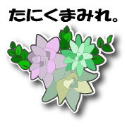 TANIKUMAMIRE TANIKUMAMIRE