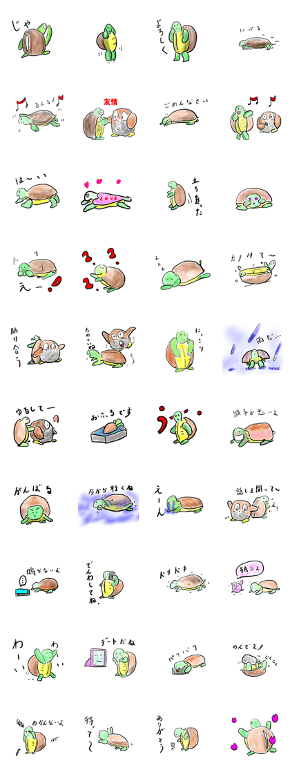 Every day of a tortoise Every day of a tortoise