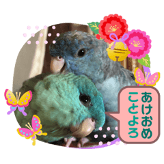 cherry_20191228181339