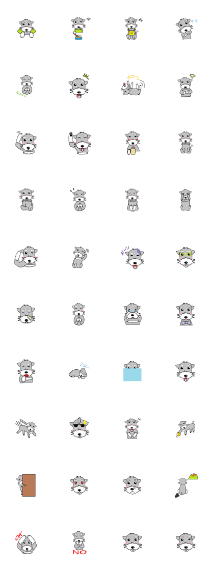 Miniature Schnauzer carried out roughly Miniature Schnauzer carried out roughly