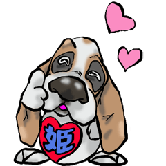 Basset hound 33(dog)