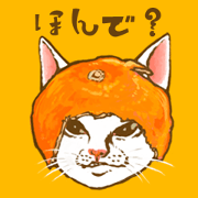 so many lol cats!!!(JP) so many lol cats!!!(JP)