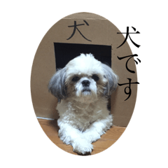 saya_20191231223827