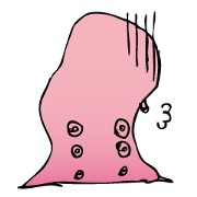 HETACO octopus Uncle life HETACO octopus Uncle life