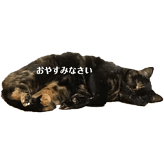 tono_20200101004420