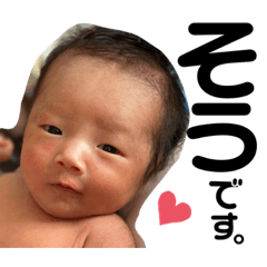 RISA_20191231180003