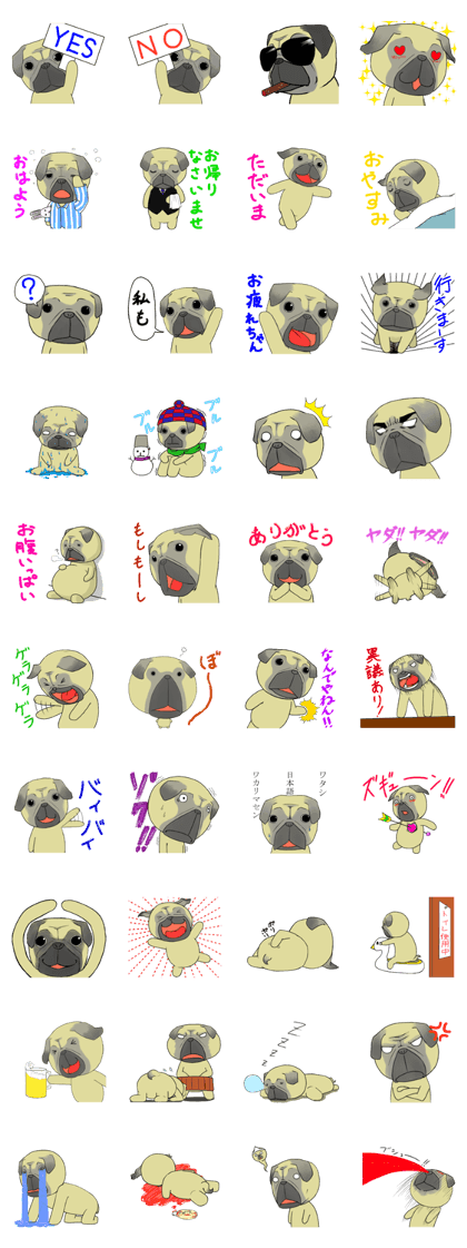 pug tarou pug tarou