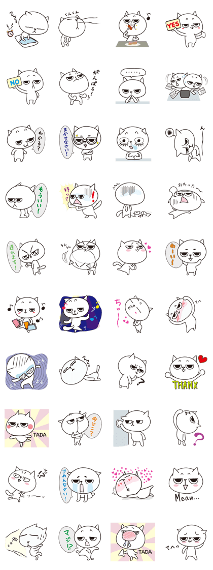 Kitty gang Kitty gang