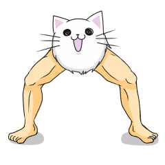 ねこなの 筋肉なの その1 Line スタンプ Line Store ねこなの 筋肉なの その1 Line スタンプ Line Store