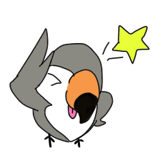Funny toucan