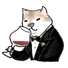 Wine Life with cat