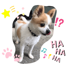 seira_20200102031426