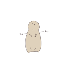 Chubby prairie dog