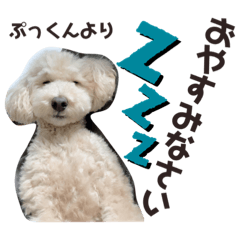 Puru stamp