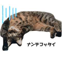 hiyori_20200102144337