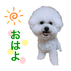 Chiyo_20200102151037